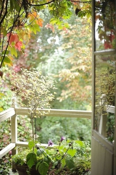 Солнечная живопись Лорана парселье