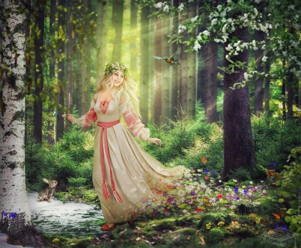 Девушка в солнечных лучах