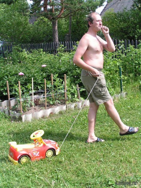 Открытки про дачу