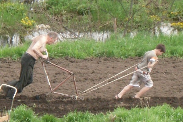 Ванна на даче прикол