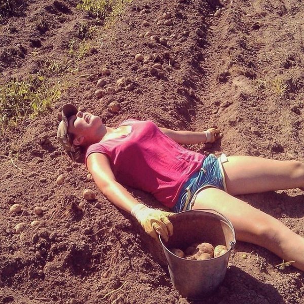 Кот в огороде