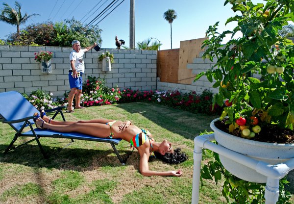 Смешное про дачу