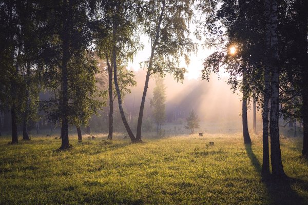 Раннее утро