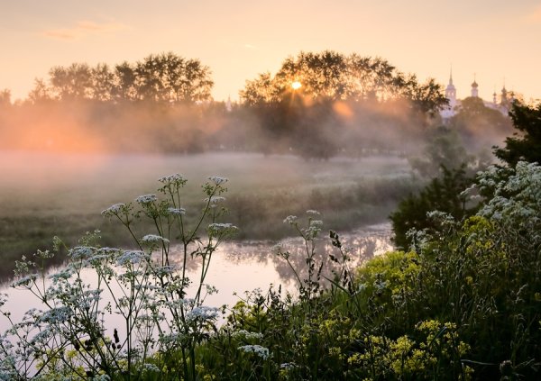 Раннее утро летом