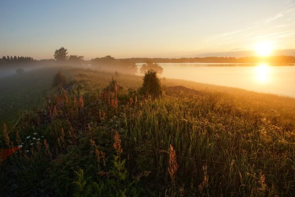 Раннее летнее утро