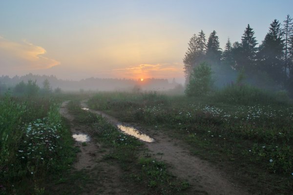 Летние пейзажи с туманом