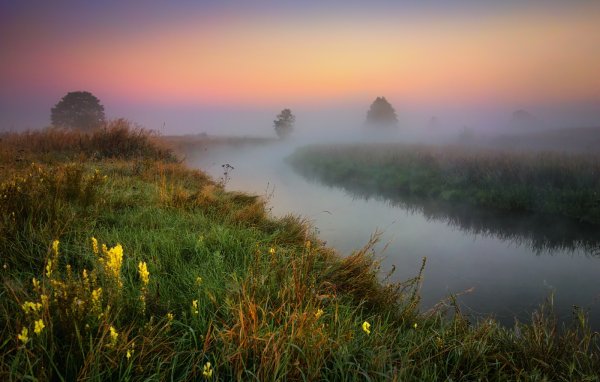 Белоруссия Полесье туман