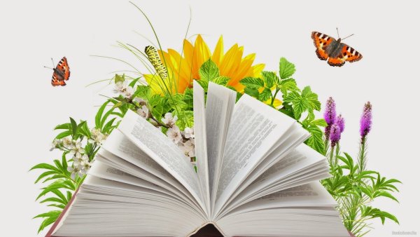 Летнее чтение