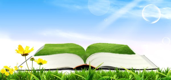 Книга для детского сада