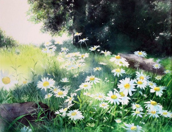 Акварель художник Yu Hoshino