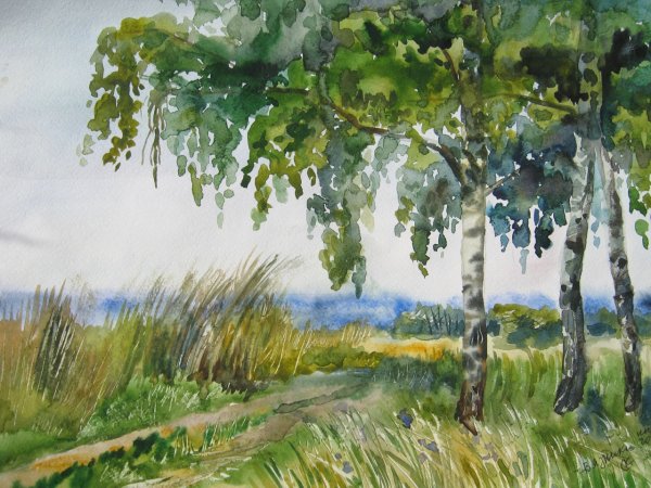 Летний пейзаж цветными карандашами