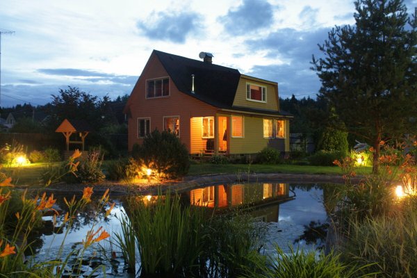 Художник Dominic Davison