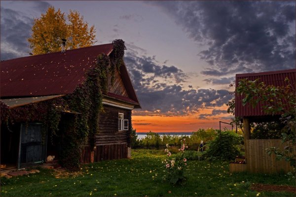 Художник Евгений Синев (1952 г.р.).