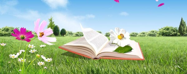Летнее чтение