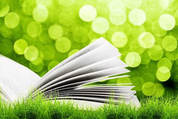 Книга на траве