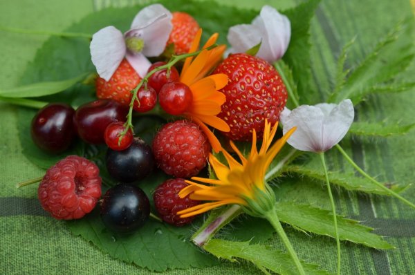 Летние ягоды