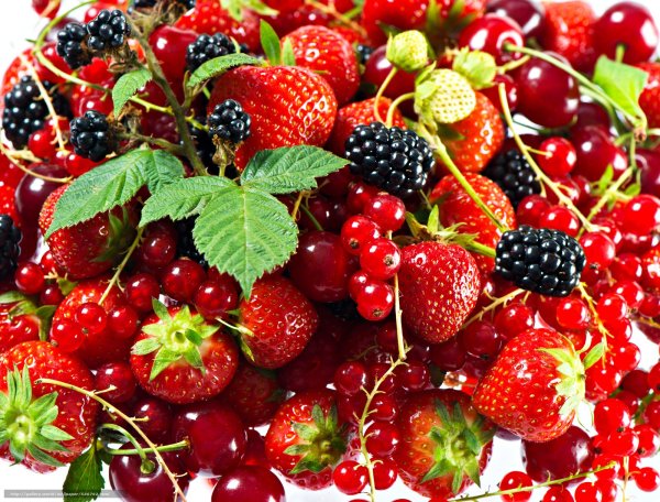 Летние фрукты и ягоды