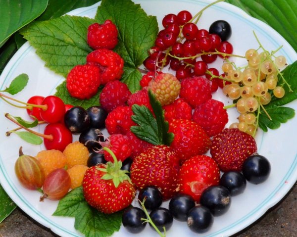 Садовые ягоды