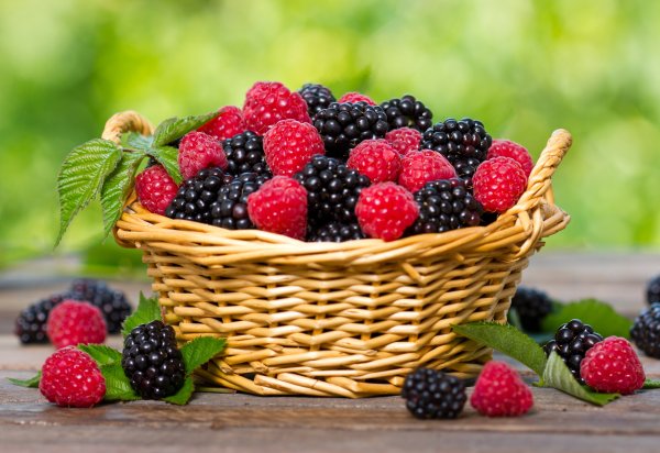 Малина и ежевика