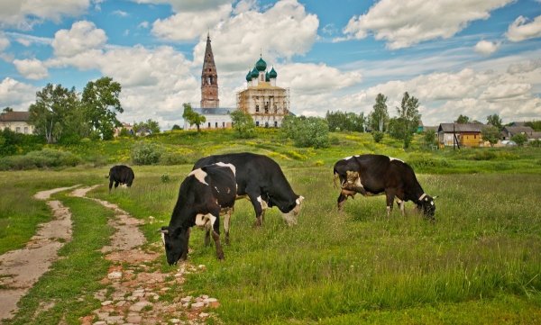 Современная Сельская жизнь