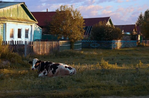 Бабушка в деревне