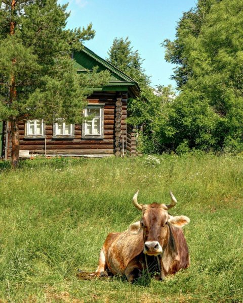 Деревня летом