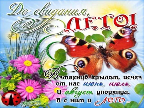 До свидания лето