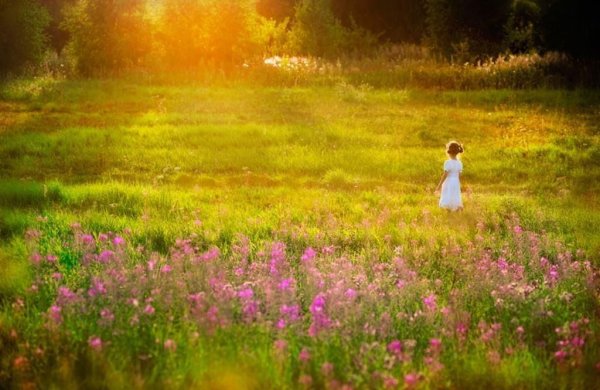 До свидания лето картинки для детей