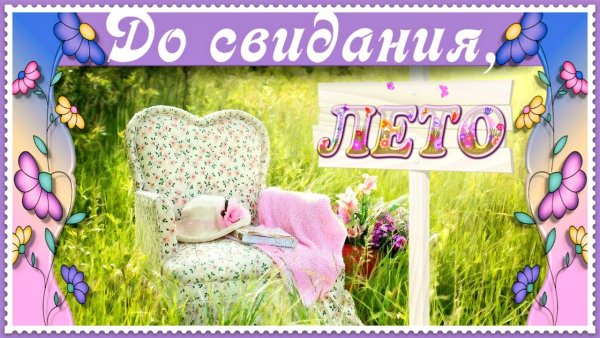 Лето для детей в детском саду