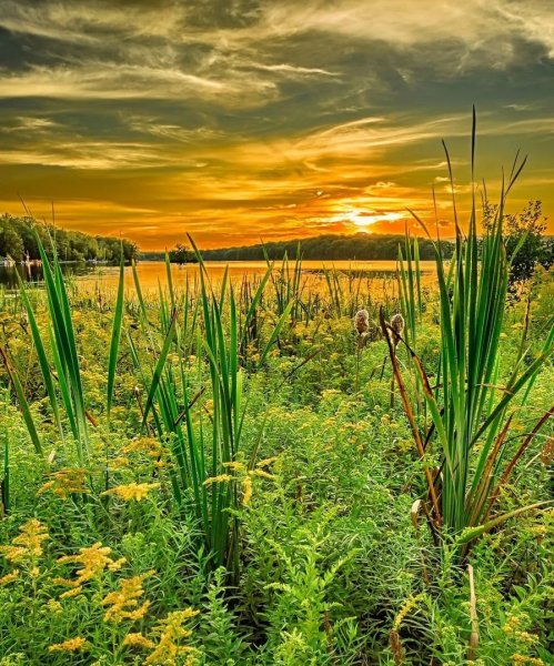 Скоро лето природа