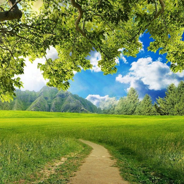 Родные просторы Пушгоры панорама