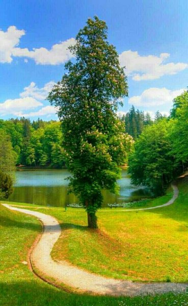 Июнь природа