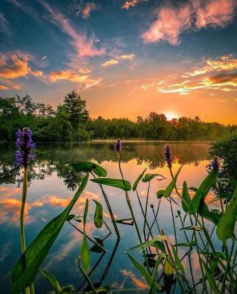 Пейзаж вечер