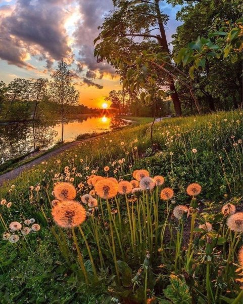 Пейзаж вечер