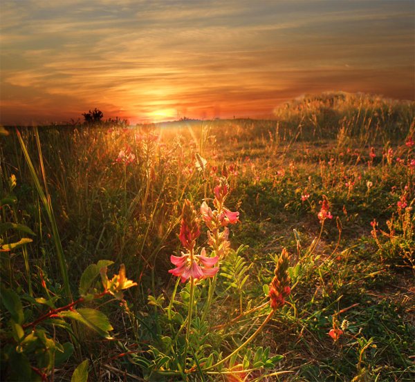 Природа вечер