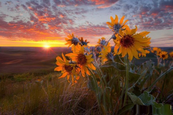 Вечерз на берегк у реки