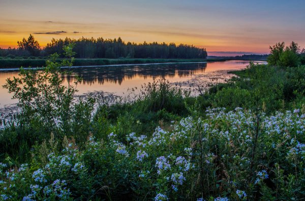 Красивая русская природа