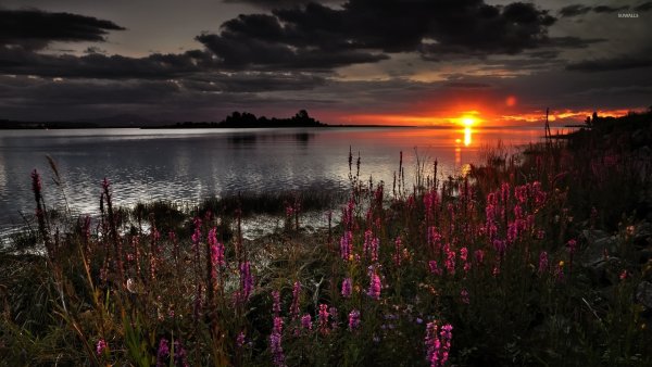 Летний вечер