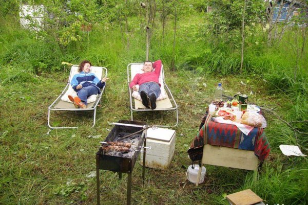 Приколы про дачу