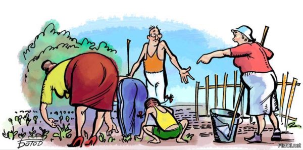 Питомцы на даче