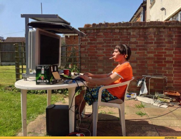 Приколы про дачу