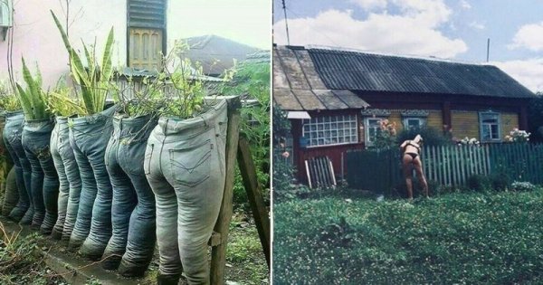 Огород юмор