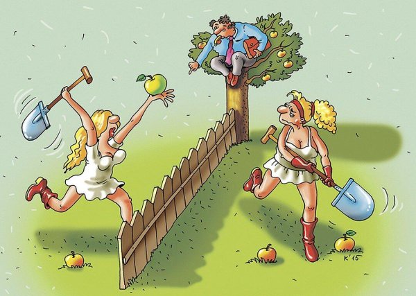 Смешные анекдоты про дачу