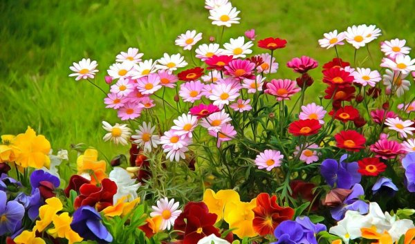 Цветочная Поляна