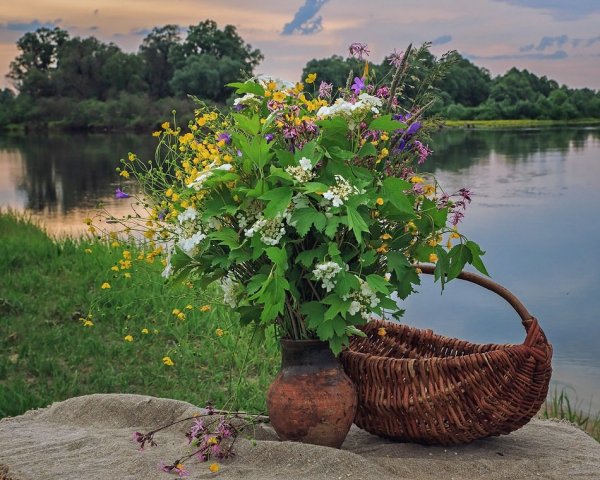 Натюрморт на природе