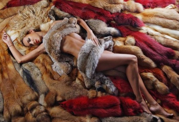 Красивые шубы