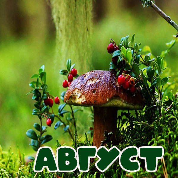 Последний месяц лета