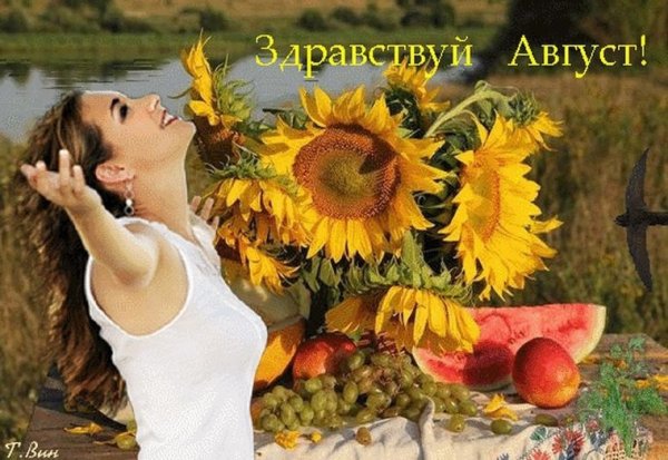 Открытки Здравствуй август