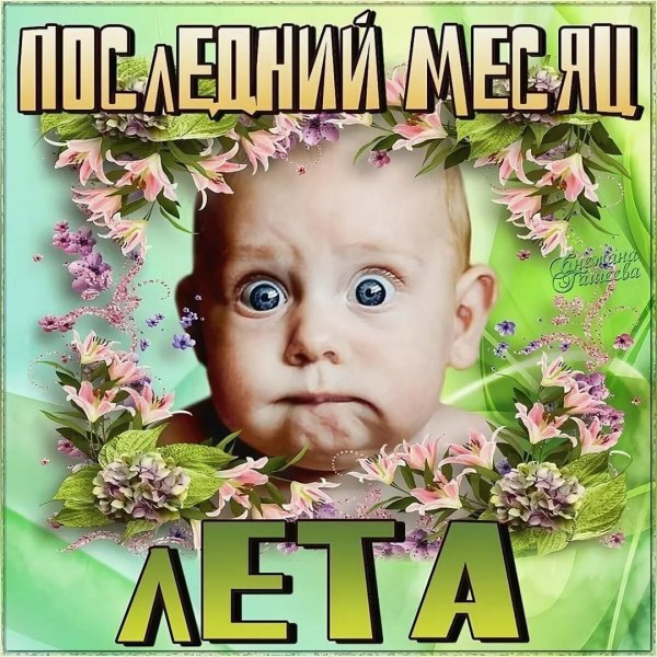 Открытки с 1 августа