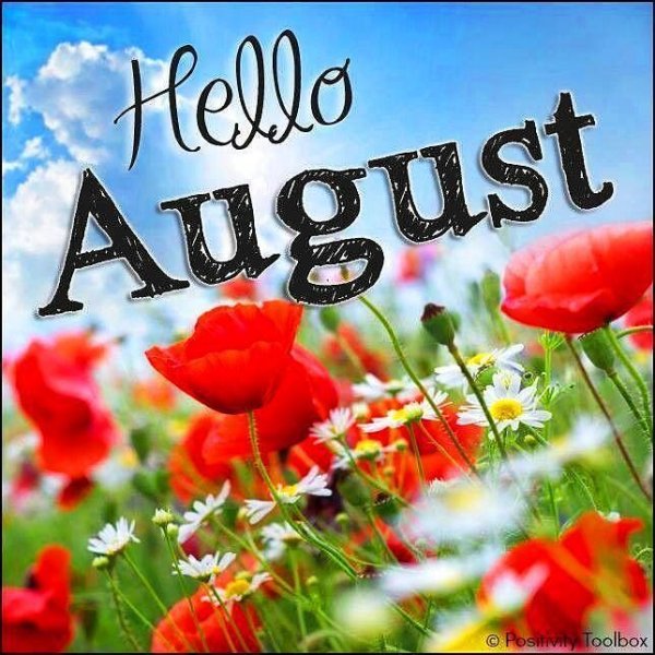 Открытки привет август